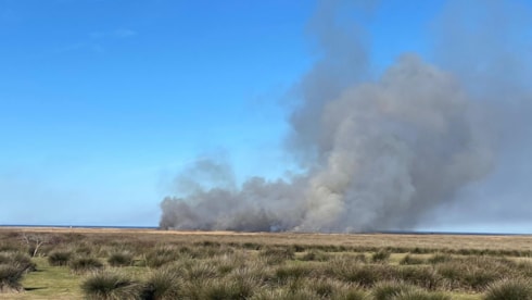 Kızılırmak Kuş Cenneti'nde korkutan yangın