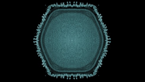 Gölette gizemli dev virüs bulundu: Yaşamın tarihi yeniden yazılıyor