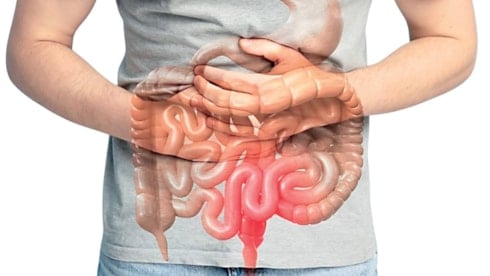 Hastalıkların kökeni bağırsaklarda