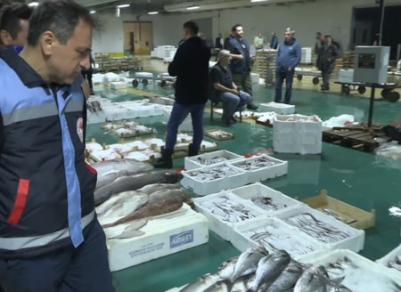İstanbul'da balık fiyatları ne durumda?