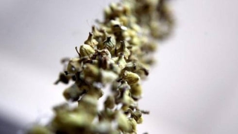 Ramazan gelirken fiyatı yine pahalandı: Bir tabağı 500 lirayı aşıyor