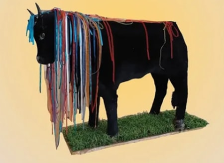 İzmir'de kutlanan dana bayramı nedir?