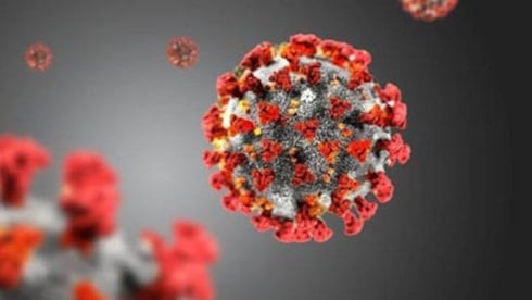 Coronadan sonra yeni bir küresel tehdit!