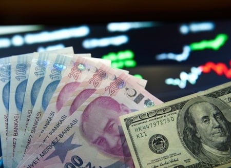 Döviz kurları yükseldi: Dolar/TL 44 lira yolunda
