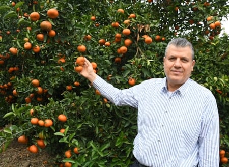 CHP'li vekilden iktidara pestisit çıkışı