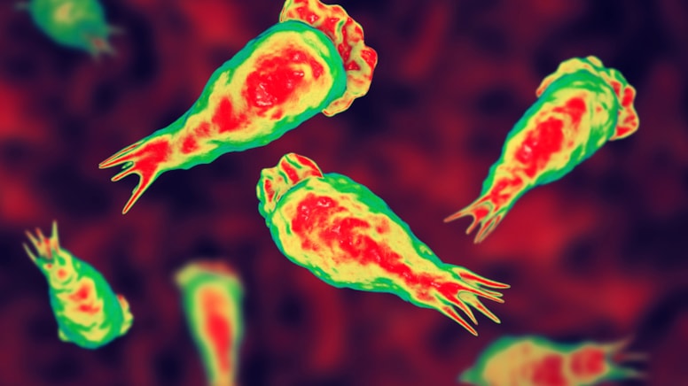 Acil uyarı geldi! Su altyapılarında 'Truva Atı' tehlikesi: Klora bile dayanıyorlar...