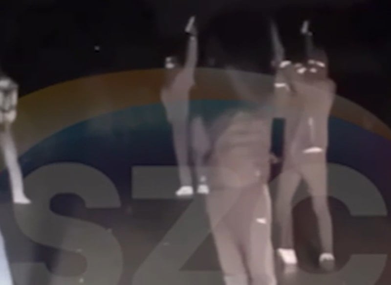 Çete liderinin doğum gününü uzun namlulu silahlarla kutladılar