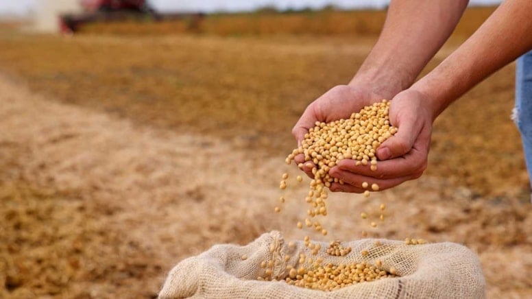 Küresel gıda fiyatları arzdaki artışla ocakta geriledi