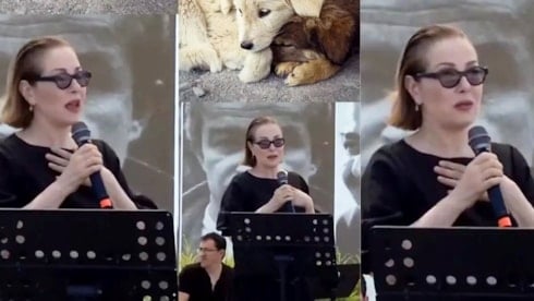 Zuhal Olcay: Biz kim oluyoruz, bu ne cüret!