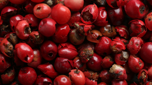 Portakal ya da mandalina değil bir avucu 20 kat C vitamini deposu