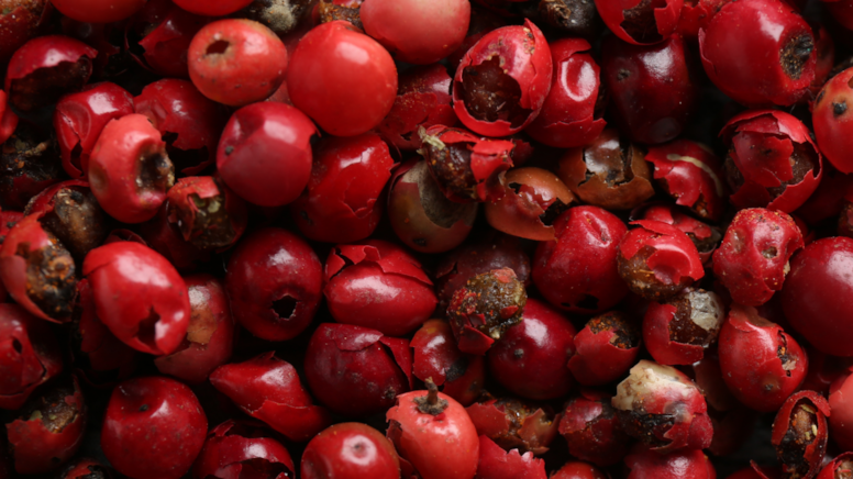 Portakal ya da mandalina değil bir avucu 20 kat C vitamini deposu